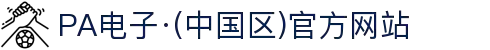 PA电子·(中国区)官方网站